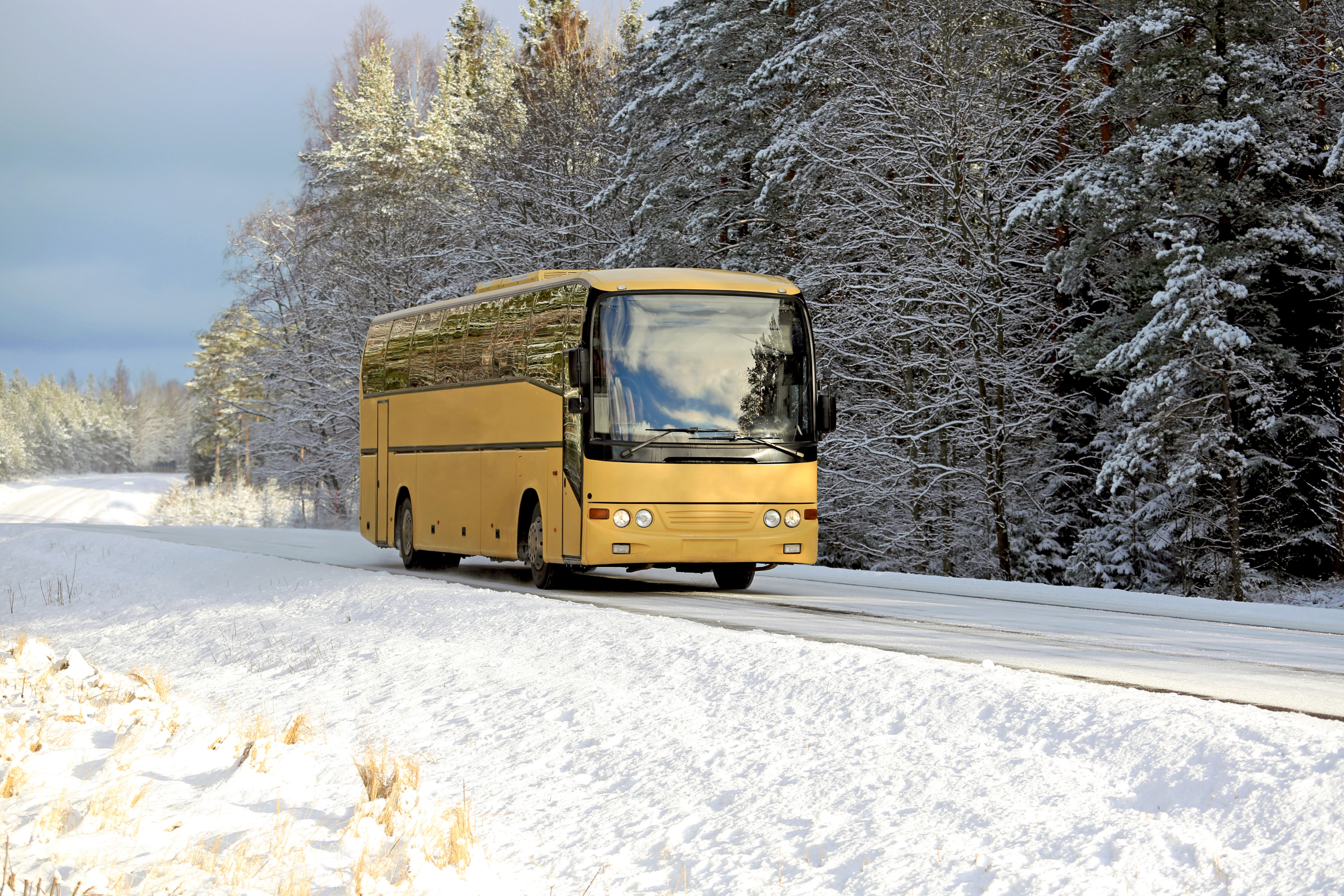 Gelber Bus fährt auf Straße durch Winterlandschaft, im Hintergrund schneebedeckte Bäume, im Vordergrund Feld mit Schnee