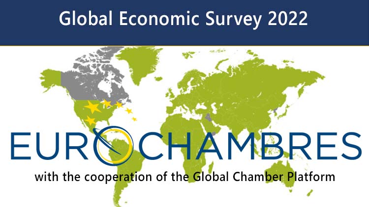 Global Economic Survey 2022
